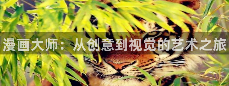 包子漫画最新版本下载