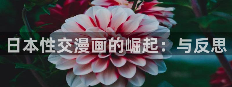 包子漫画免费漫画入口页面无广告