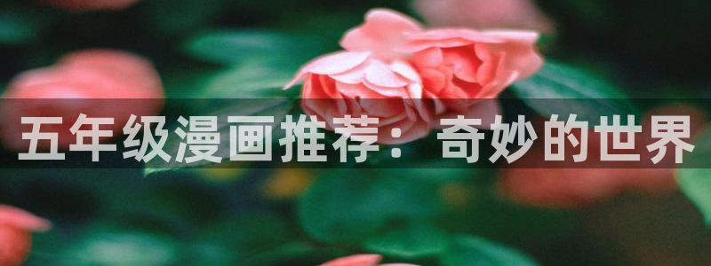 包子漫画官网app下载