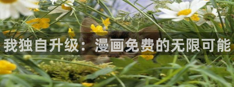 我来自游戏包子漫画